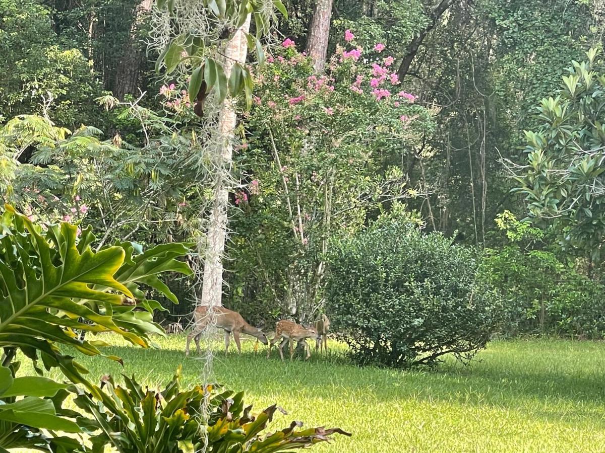 The Ann Stevens House Bed & Breakfast 3*